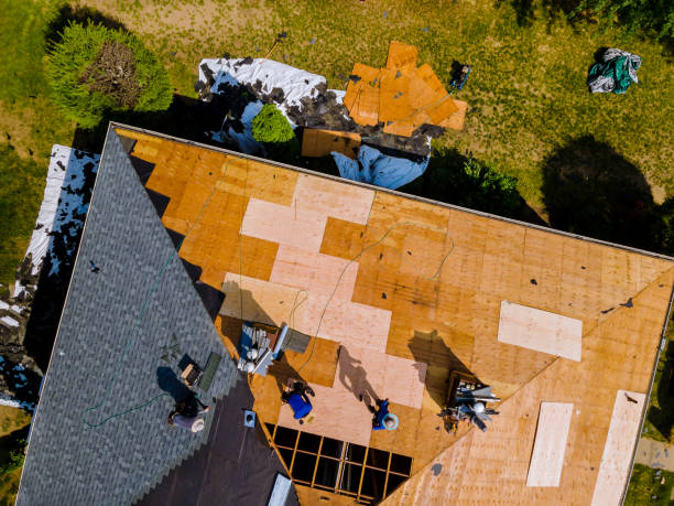 Best Shingle Roofing Installation  in Roscommon, MI