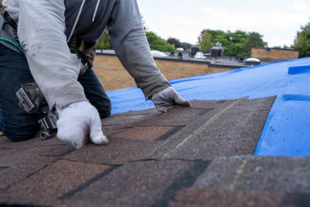 Best Roof Gutter Cleaning  in Roscommon, MI